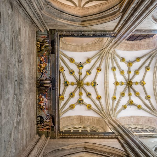 20170126-Catedral Astorga - Bóvedas (2)