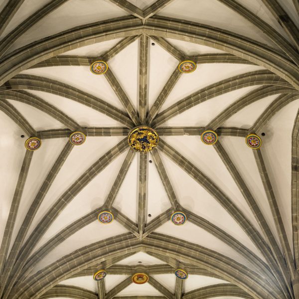20170126-Catedral Astorga - Bóvedas (8)
